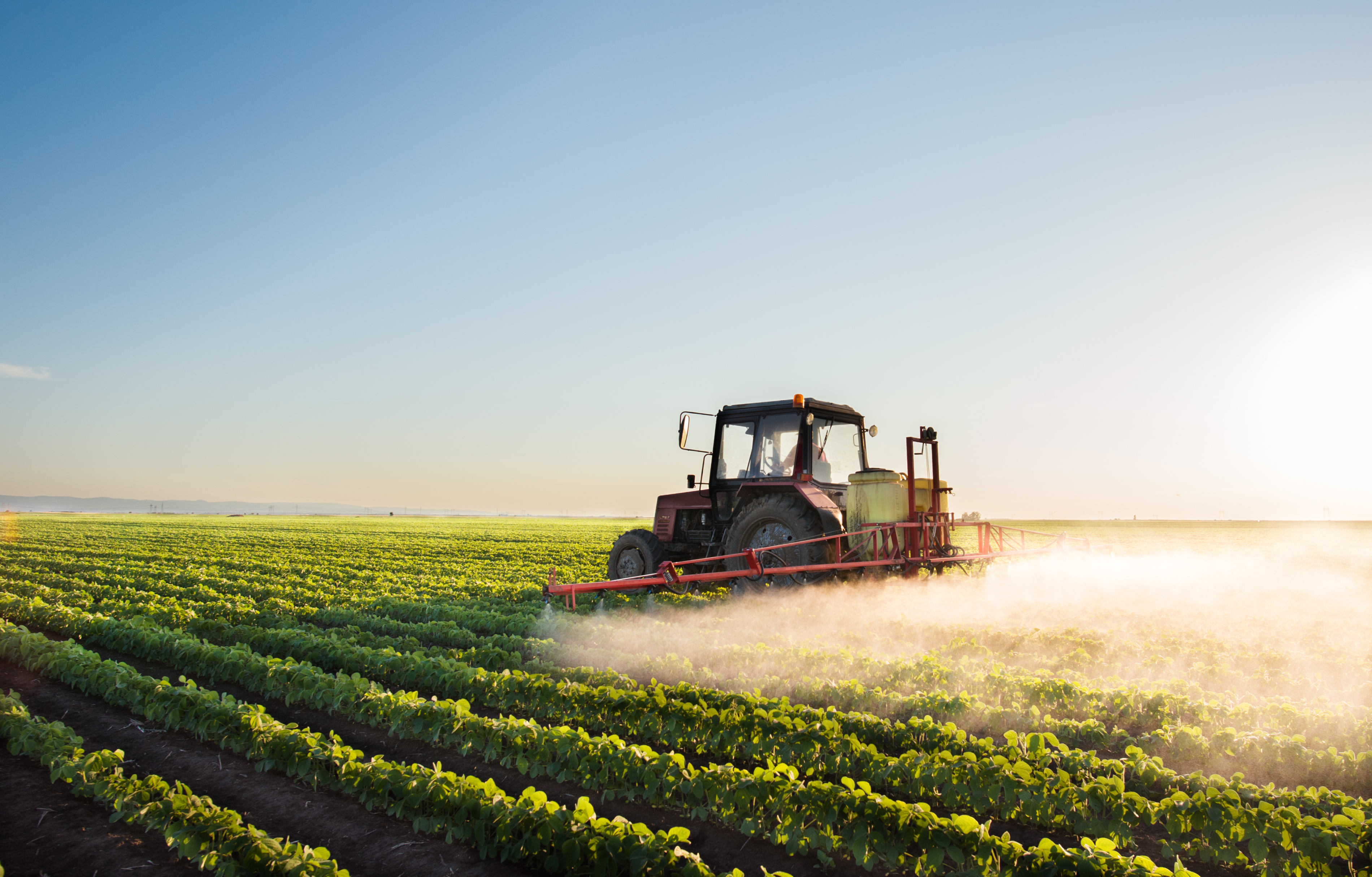 Agricultural progress at Swaan Valley