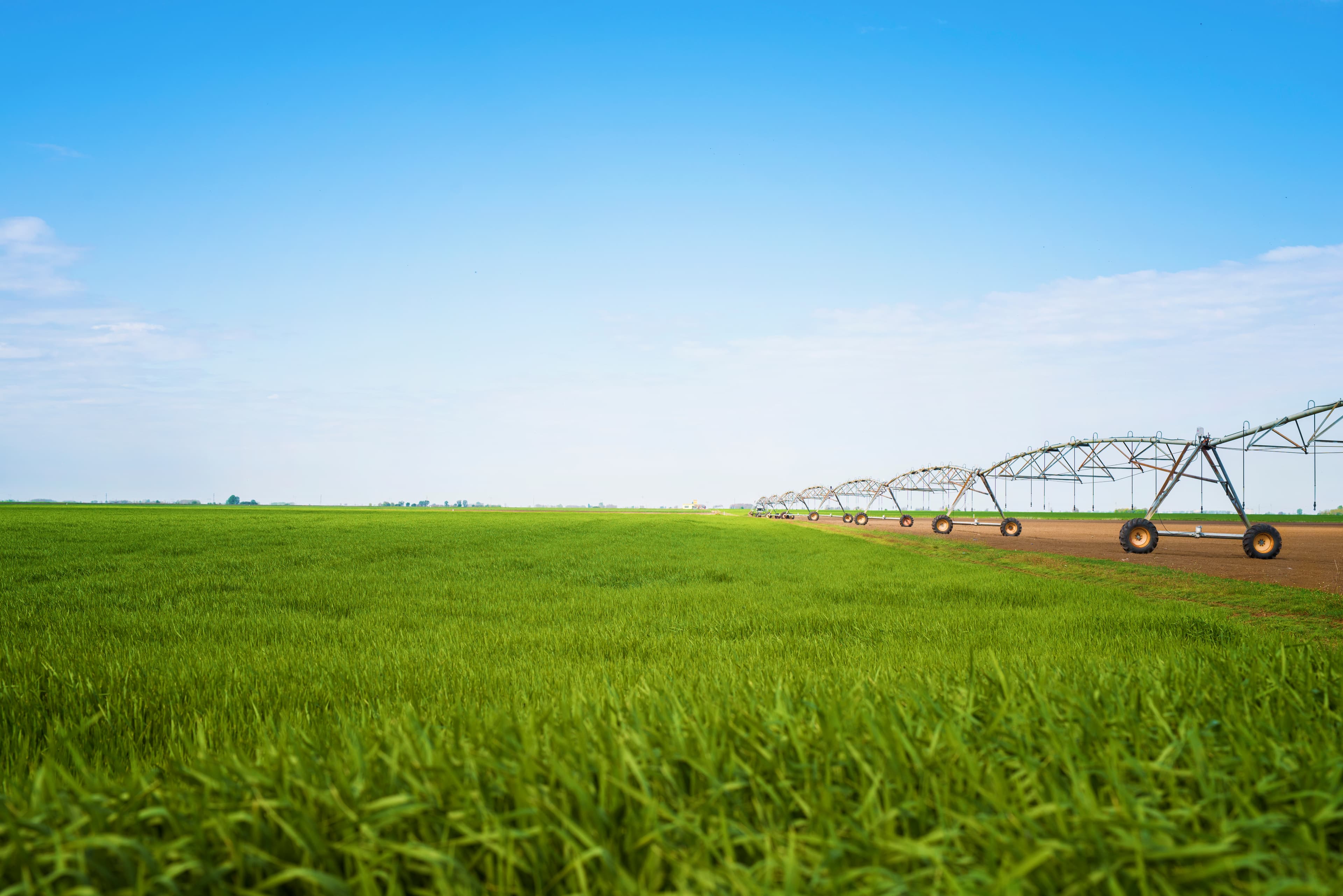 Swaan Valley agricultural fields